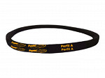 Correia V 3L 0210