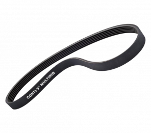 Correia Poly V PJ 0483 / J 190